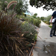 LADWP Water Conservation Specialist Damon Ayala finds water leaking onto the pavement from a landscape irrigation system while patrolling a residential neighbor in search of illegal lawn irrigation and irrigation leakage.